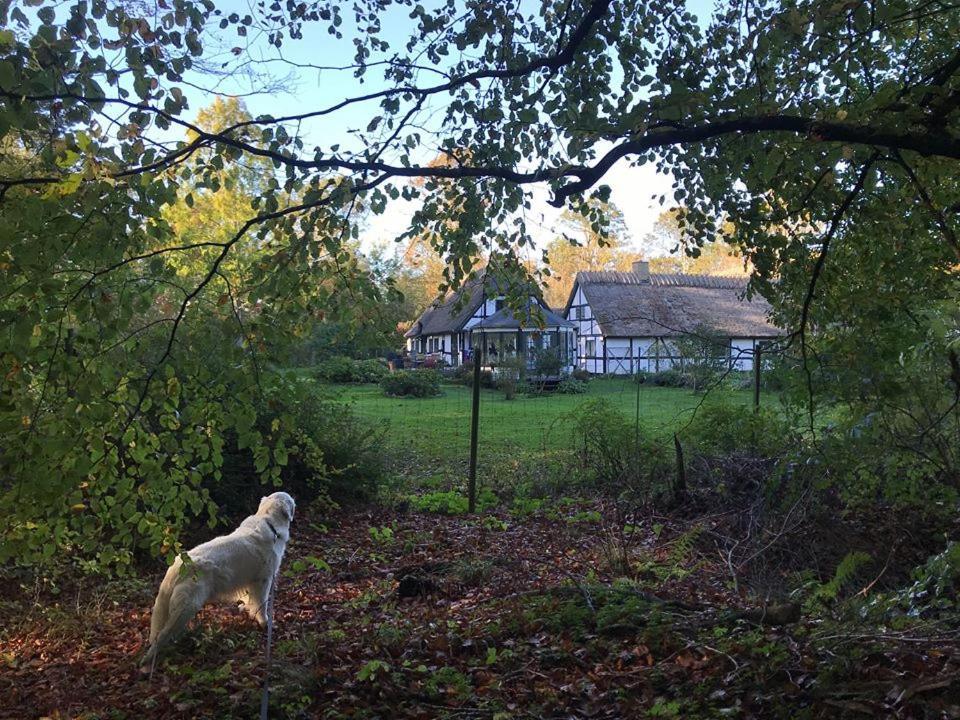 The Foresters House- Idyllic Tranquility- Non Smokers Only Store Heddinge Bagian luar foto