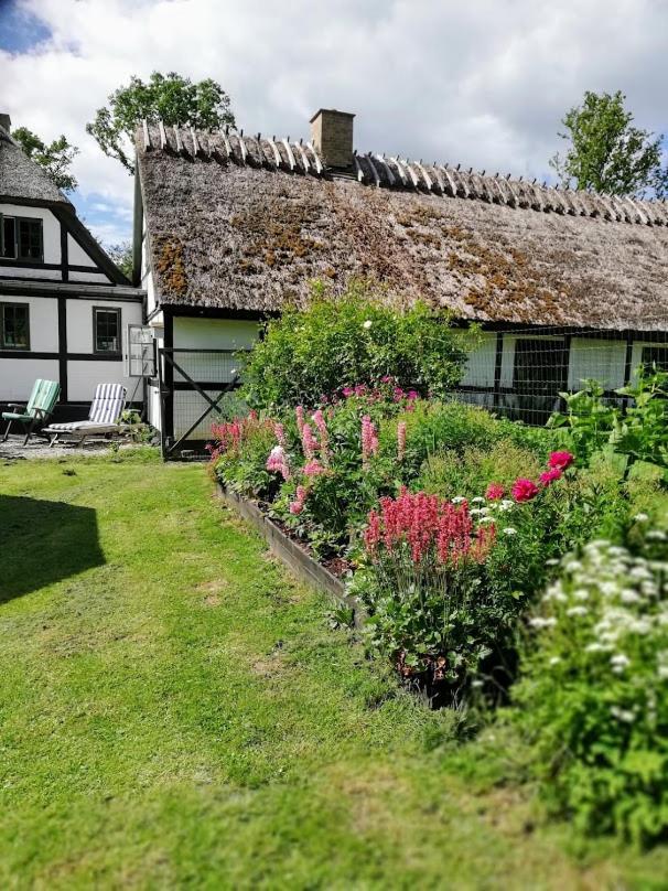 The Foresters House- Idyllic Tranquility- Non Smokers Only Store Heddinge Bagian luar foto
