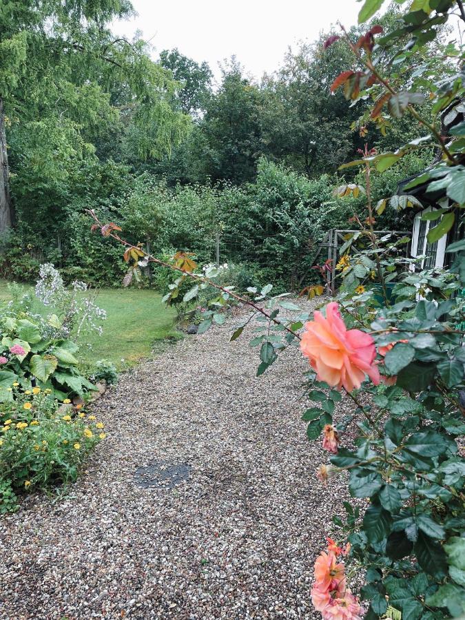 The Foresters House- Idyllic Tranquility- Non Smokers Only Store Heddinge Bagian luar foto